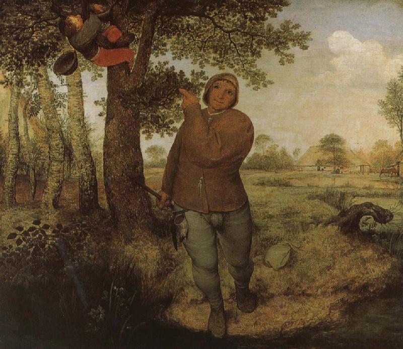 Pieter Bruegel From farmers and Selenocosmia